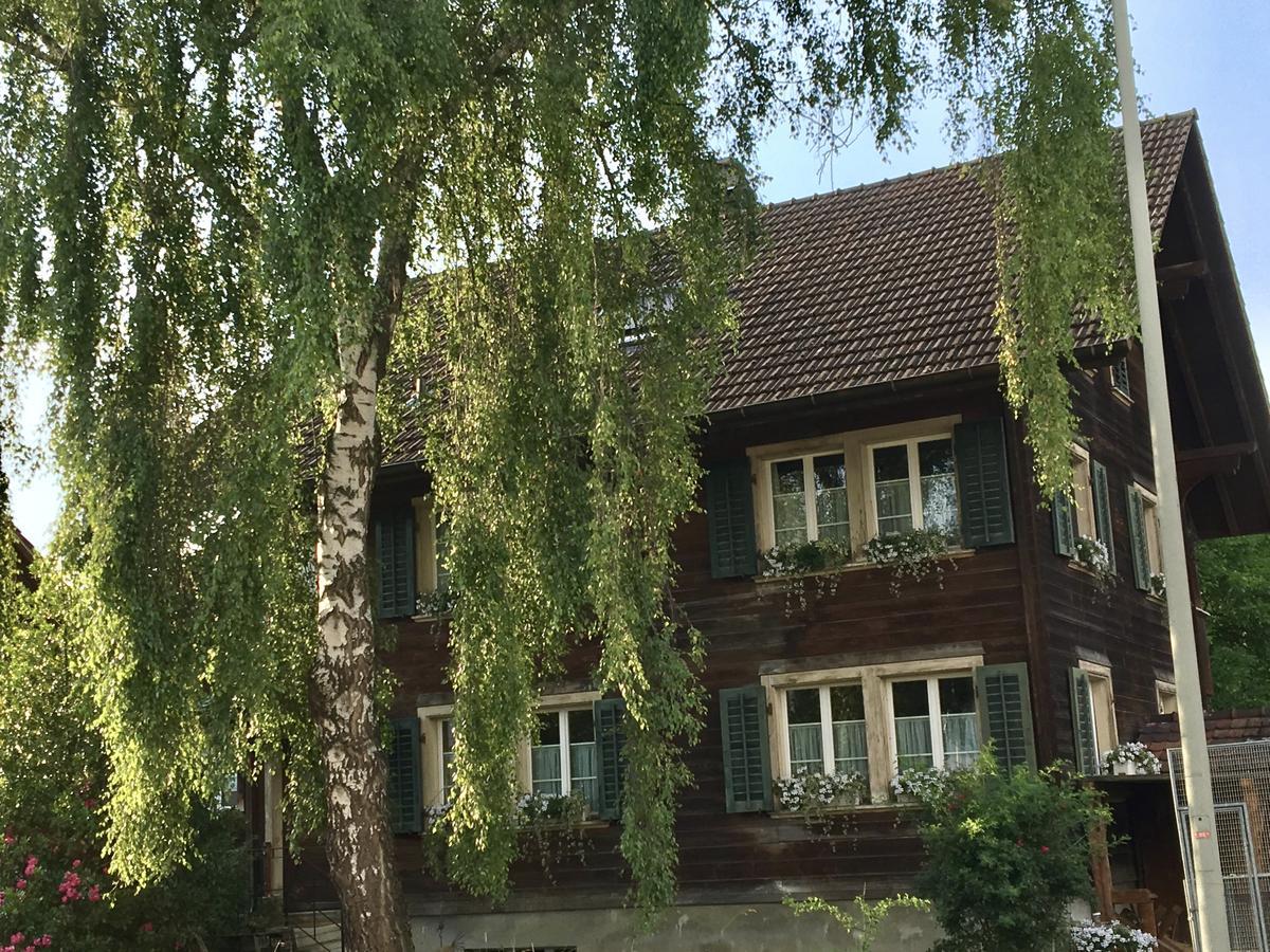 Conny'S B&B Niederweningen Exteriör bild