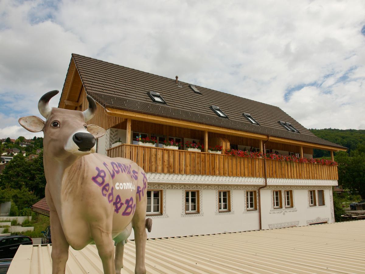 Conny'S B&B Niederweningen Exteriör bild